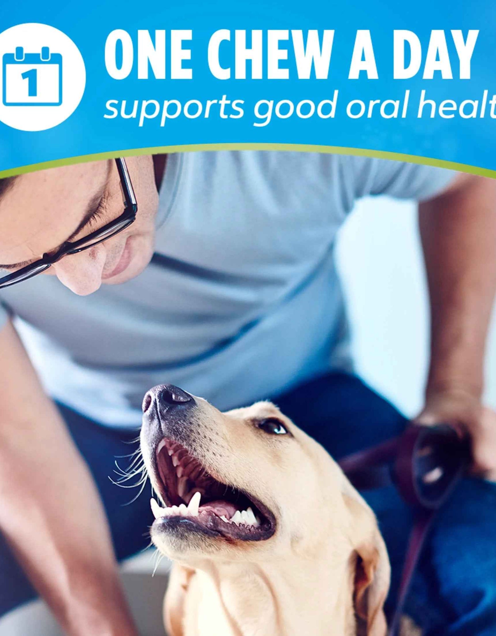 Purina  Activfresh Chicken Flavor Large Breed Adult Dog Dental Chews – 24.1 Oz Pouch (21 Ct)