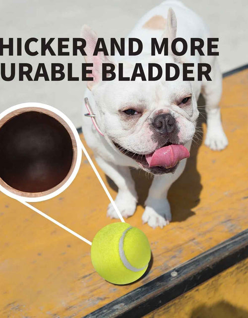 Load image into Gallery viewer, Dog Tennis Ball Toy, 6Pcs Fetch Balls for Puppy to Small Dogs (2-Inch AFP Mini Automatic Ball Launcher Refills)
