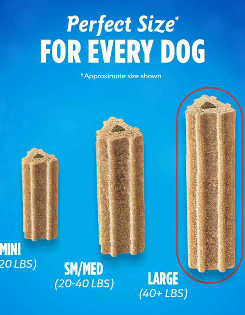 Load image into Gallery viewer, Purina  Activfresh Chicken Flavor Large Breed Adult Dog Dental Chews – 24.1 Oz Pouch (21 Ct)
