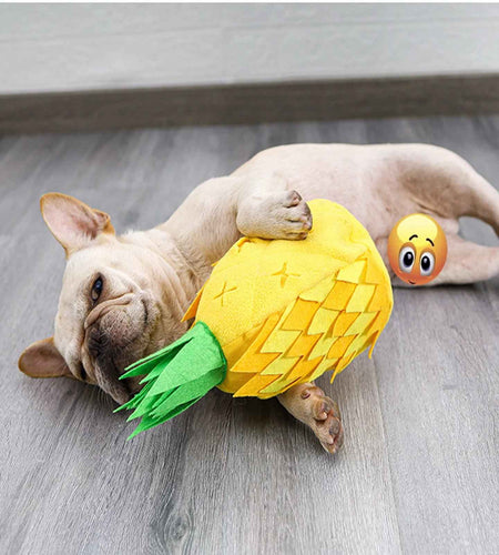 Dog Squeaky Toy, Interactive Dog Toy, Dog Puzzle Toy for Smelling Feeding Training, Dog Plush Toy for Small Medium and Large Dogs