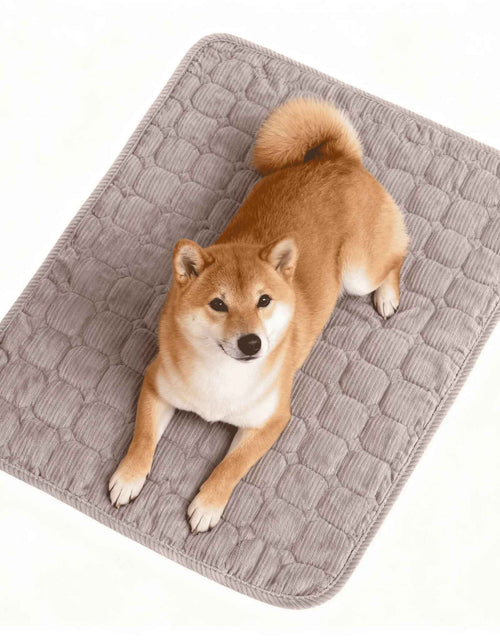 Load image into Gallery viewer, Large Dog Crate Bed Dog Crate Pad Washable Dog Bed Mat for Crate Mats for Dog Cage Mat Dog Kennel Pad Dog Kennel Mat Dog Crate Liner Dog Beds for Large Dog,48" X 36"
