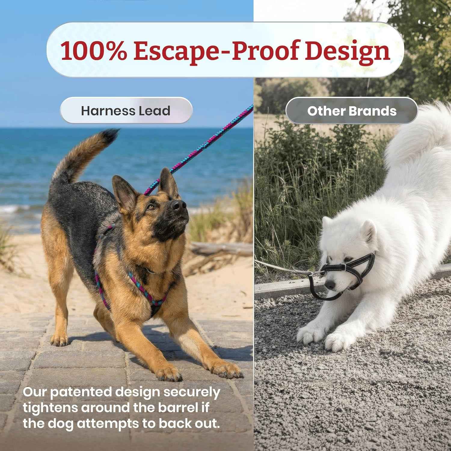 No Pull Dog Harness and Leash Set, anti Pull Dog Harness, One-Piece Cushioned Rope Safely Prevents Escaping and Pulling (Small/Medium, Red/Reflective)