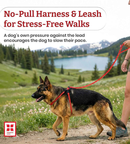 No Pull Dog Harness and Leash Set, anti Pull Dog Harness, One-Piece Cushioned Rope Safely Prevents Escaping and Pulling (Small/Medium, Red/Reflective)