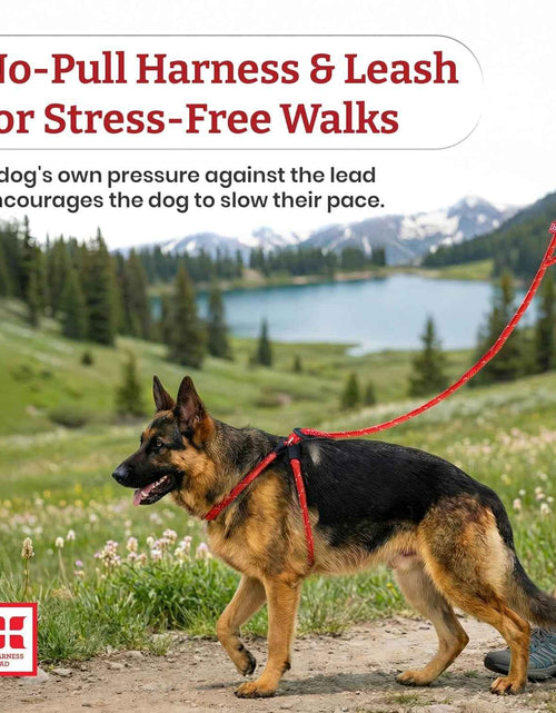 Load image into Gallery viewer, No Pull Dog Harness and Leash Set, anti Pull Dog Harness, One-Piece Cushioned Rope Safely Prevents Escaping and Pulling (Small/Medium, Red/Reflective)
