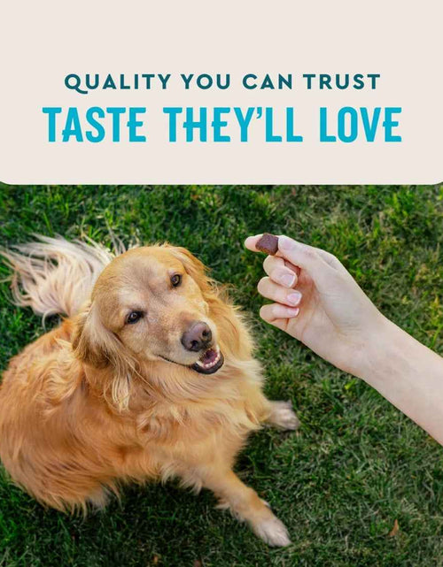 Load image into Gallery viewer, (3 Pack) Vetiq Hip &amp; Joint Supplement for Dogs, Chicken Flavored Soft Chews, 7.4 Oz, 60 Count
