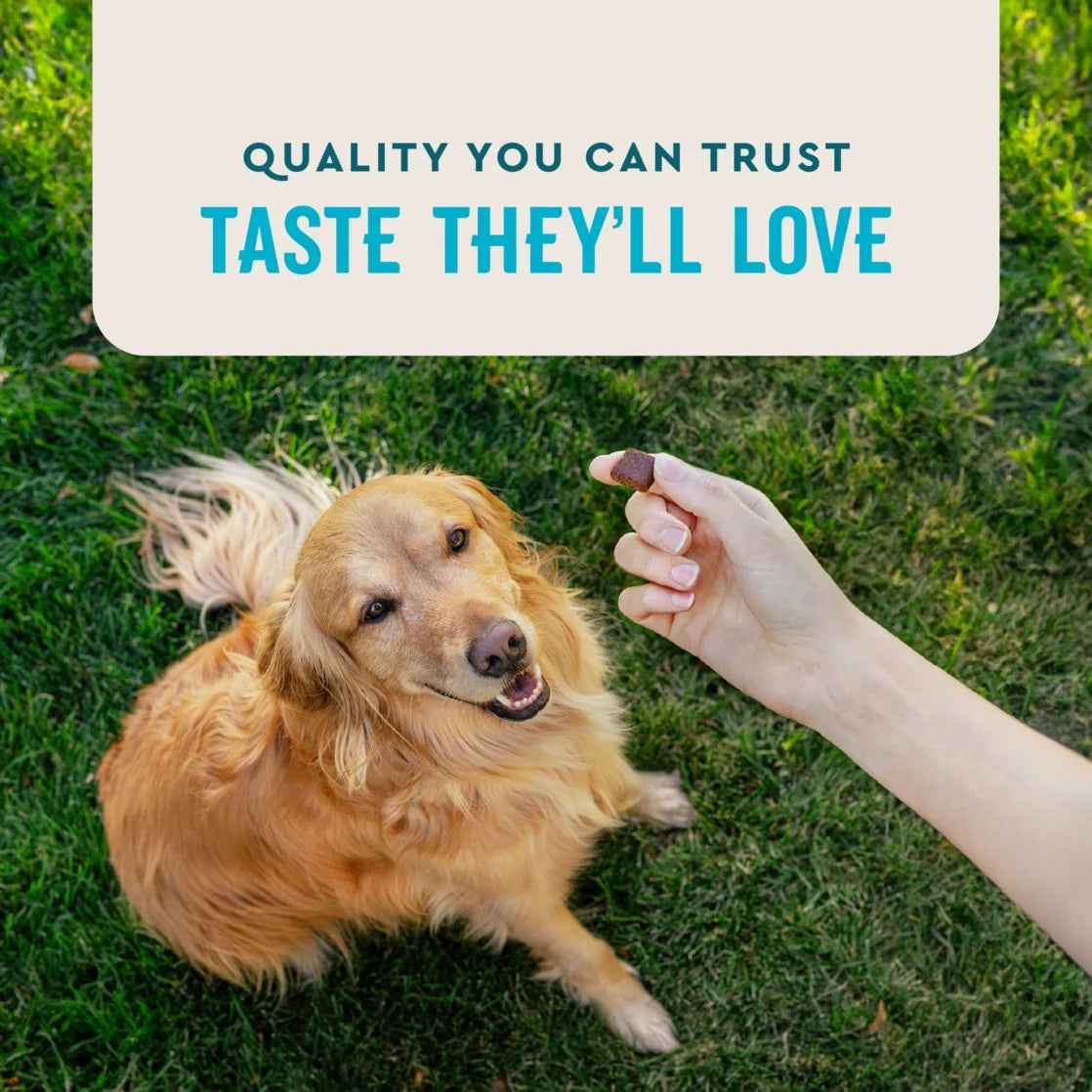 (3 Pack) Vetiq Hip & Joint Supplement for Dogs, Chicken Flavored Soft Chews, 7.4 Oz, 60 Count