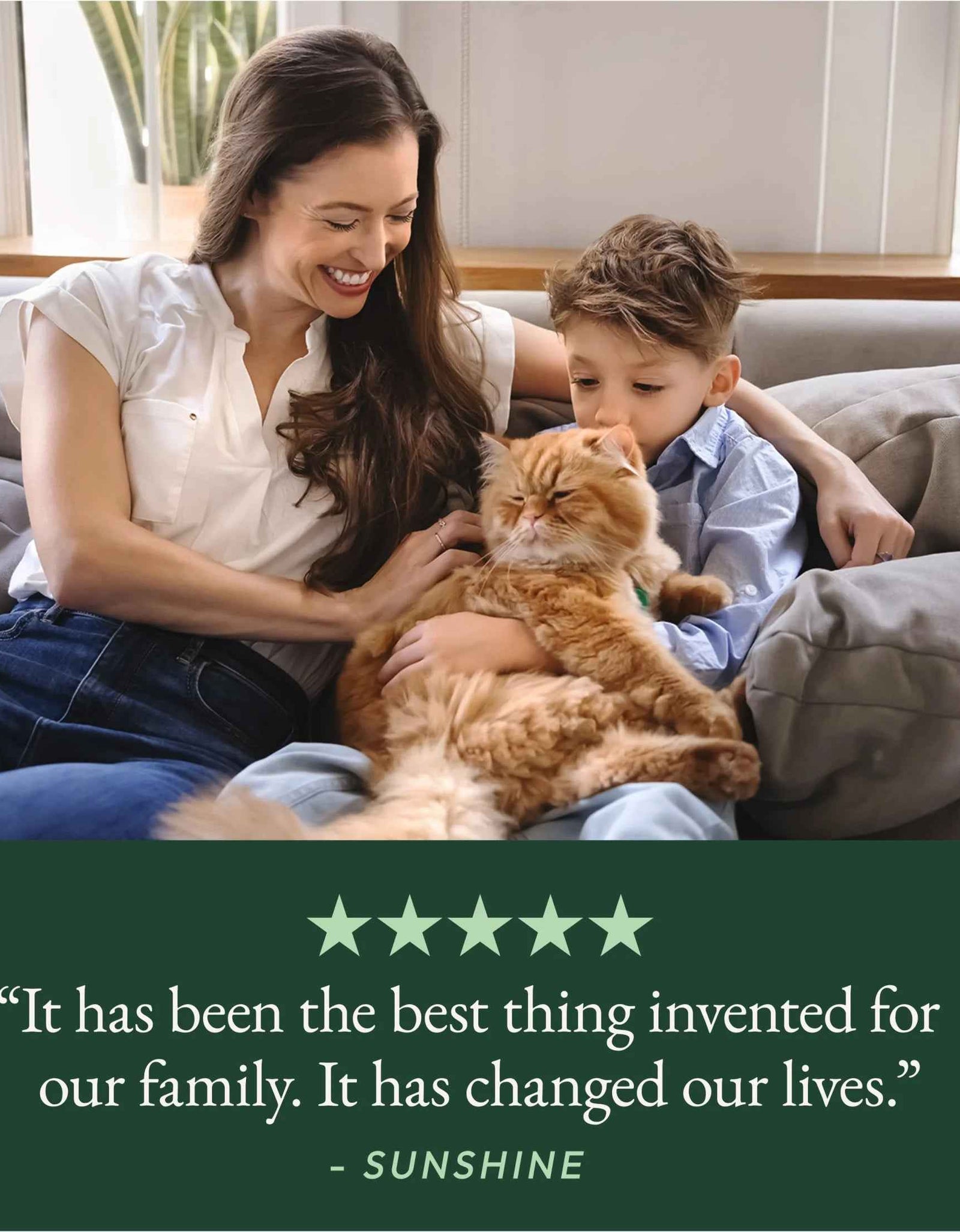 Purina  Breeze Cat Litter System Refill Pack with Ion Cat Litter Pads and Zeolite Pellet Cat Litter