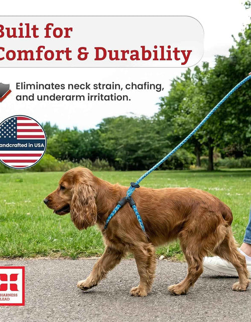 Load image into Gallery viewer, No Pull Dog Harness and Leash Set, anti Pull Dog Harness, One-Piece Cushioned Rope Safely Prevents Escaping and Pulling (Small/Medium, Red/Reflective)
