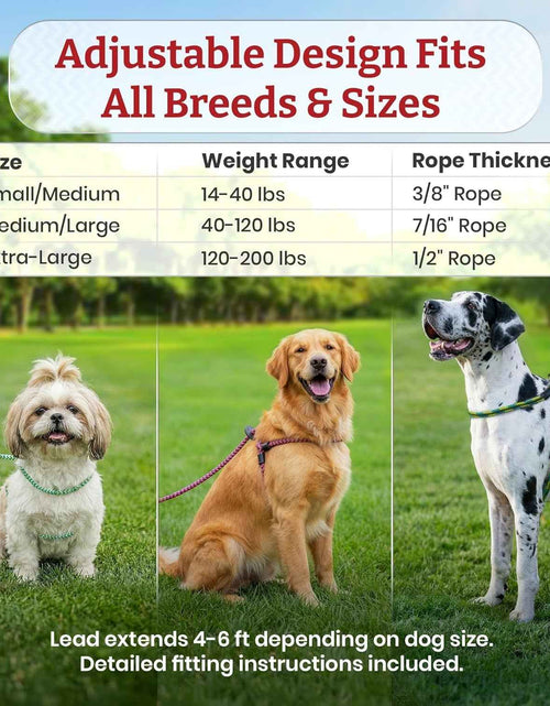 Load image into Gallery viewer, No Pull Dog Harness and Leash Set, anti Pull Dog Harness, One-Piece Cushioned Rope Safely Prevents Escaping and Pulling (Small/Medium, Red/Reflective)
