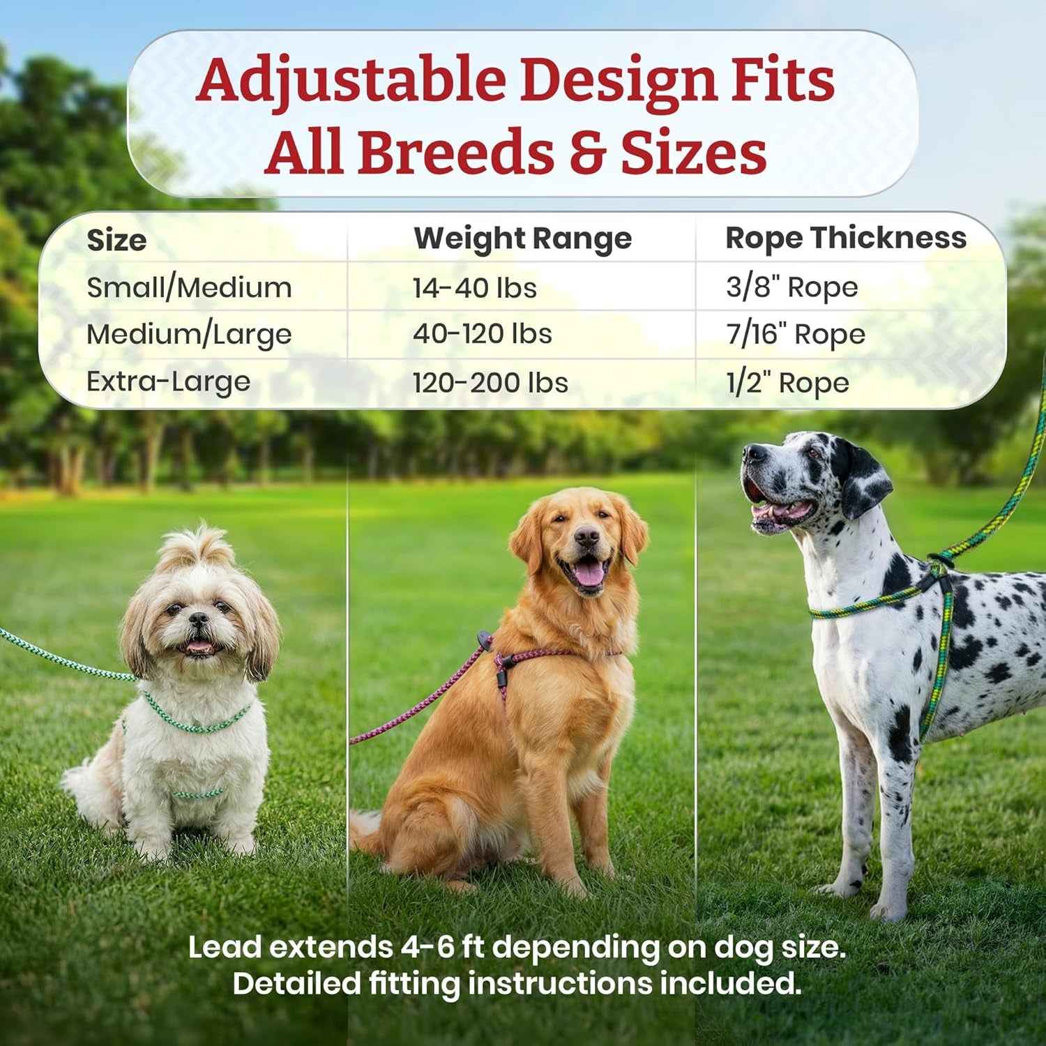 No Pull Dog Harness and Leash Set, anti Pull Dog Harness, One-Piece Cushioned Rope Safely Prevents Escaping and Pulling (Small/Medium, Red/Reflective)